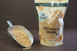 Organic Triticale Grain