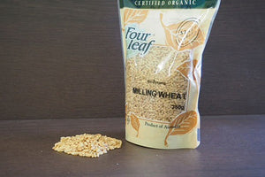 Organic Milling Sprouting Wheat